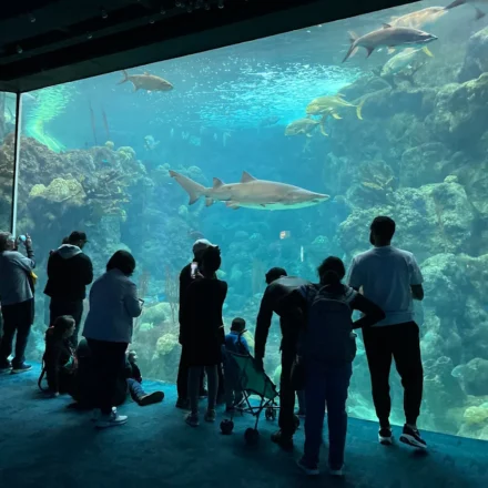 The Florida Aquarium